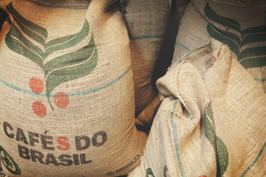 Arabica Coffee: A Guide to the World's Most Popular Coffee Bean