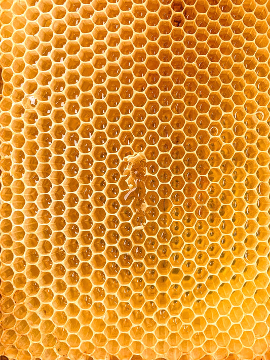 The Honey Process: A Sweet and Sustainable Approach to Coffee Production