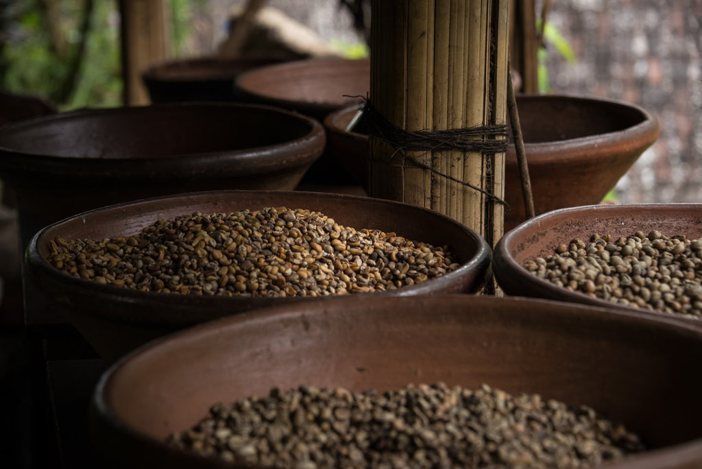 How should coffee beans be stored?