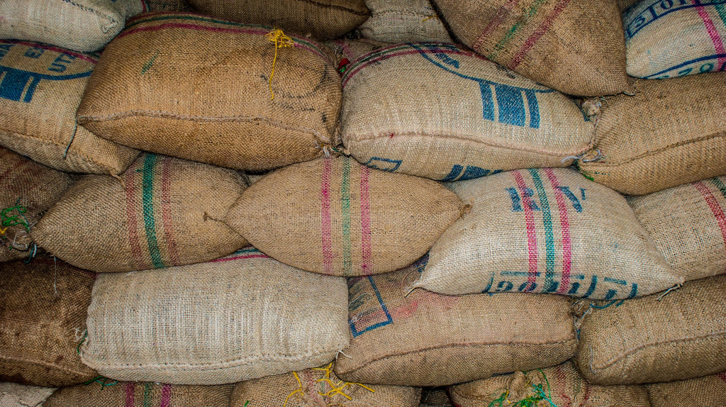 How Long do Coffee Beans Last?