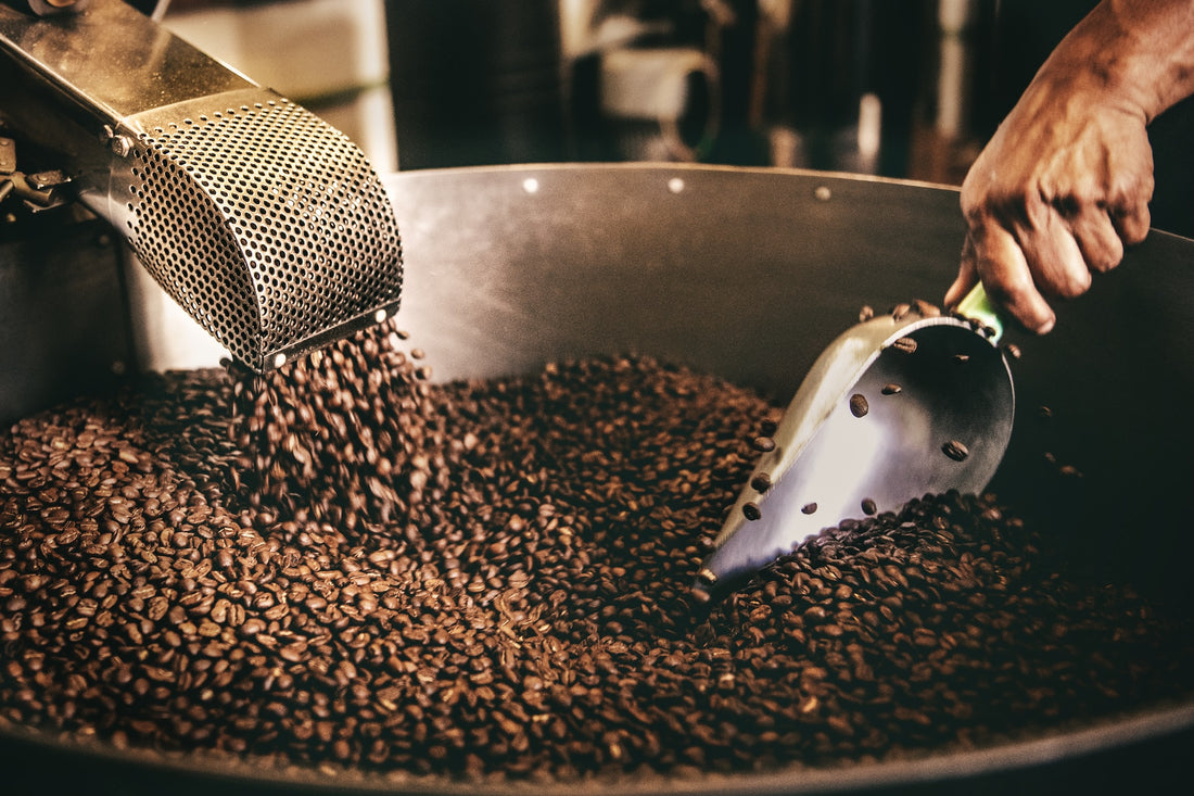 The Art of Roasting: How Different Roasting Profiles Impact the Taste and Quality of Coffee