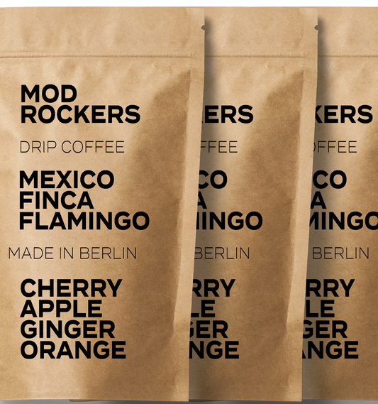 Drip Coffee Bag - Pack of 10